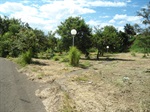 Área verde Vila Industrial