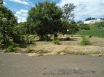 Área verde Vila Industrial
