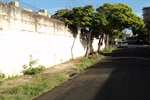Pedidos incluem corte de mato e retirada de galhos secos na rua Machado de Assis