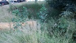 Terreno localizado na rua do Rosário 