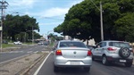 Semáforo encoberto por árvore na avenida Independência 