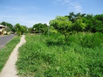 Área verde no Jardim Tatuapé