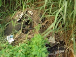 Entulhos