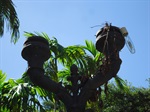 Deteriorados