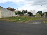 Sedema fez a limpeza do local, após pedido de Moschini