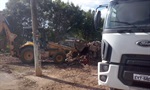 Limpeza no Monte Líbano é realizada após pedido de Chico Almeida 