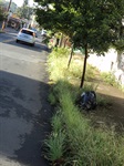 Mato que cresceu na calçada da rua Luiz Razera, em frente ao nº 877