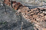 Fotos tiradas em agosto de 2014 mostram a situação do terreno na época