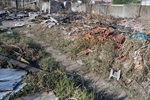 Fotos tiradas em agosto de 2014 mostram a situação do terreno na época
