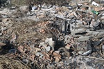 Fotos tiradas em agosto de 2014 mostram a situação do terreno na época