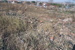 Fotos tiradas em agosto de 2014 mostram a situação do terreno na época