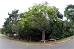 Área verde do Kobayat Líbano