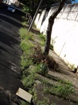Rua Machado de Assis - Antes da solicitação