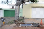 Parlamentar conferiu as obras no bairro na semana passada