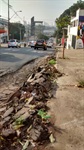 Ary Pedroso cobra recuperação da avenida Barão de Serra Negra