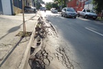 Parlamentar constatou problema na avenida Barao da Serra Negra