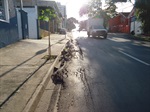Parlamentar constatou problema na avenida Barao da Serra Negra