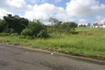 Mato alto em área verde