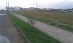 Terreno na avenida  Luiz Ralph Benatti - Mário Dedini