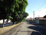 Poda de árvores que ficam no canteiro central da avenida Nadir Eraldo Stella