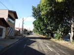 Poda de árvores que ficam no canteiro central da avenida Nadir Eraldo Stella