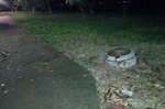 Substituição de lâmpadas queimadas e melhoria em galeria pluvial foram solicitadas