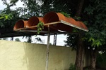 Moradores ficaram satisfeitos, informa parlamentar