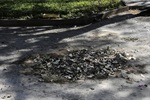 Longatto defende mais segurança no entorno da praça Ângelo Feltre