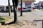 Longatto defende mais segurança no entorno da praça Ângelo Feltre