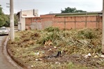 Área fica na avenida Talles Castanho de Andrade