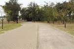 Sinalização Parque de Santa Terezinha 