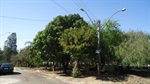 Área verde do Jd. Maria Claudia
