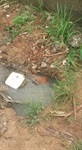 Local estava com entulhos. Moradores reclamavam