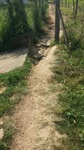 Limpeza no Santa Rosa - Ipês