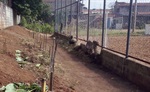 Vereador Chico Almeida pede manutenção de campinho no Algodoal