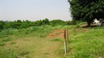 Construção de um campo de futebol de grama ou de areia na área verde localizada em frente ao número 866 da rua Neusa Maria Mendes Tonin