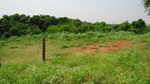 Construção de um campo de futebol de grama ou de areia na área verde localizada em frente ao número 866 da rua Neusa Maria Mendes Tonin