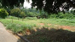 Construção de um campo de futebol de grama ou de areia na área verde localizada em frente ao número 866 da rua Neusa Maria Mendes Tonin