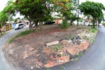 Área verde na rua Praga