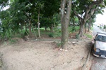 Área verde da rua Augusto César de Oliveira