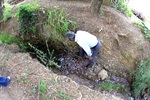 Água empoçada na área verde
