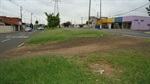 Avenida Luiz Ralph Benatti 
