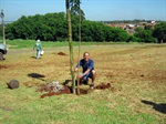 Plantio de árvores no Mário Dedini