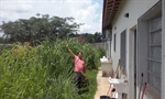 Mato alto no PSF do Algodoal preocupa moradores