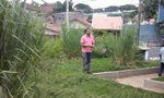 Mato alto no PSF do Algodoal preocupa moradores