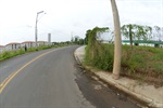 Longatto defende recuperação de áreas verdes em Santa Teresinha