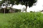 Longatto defende recuperação de áreas verdes em Santa Teresinha