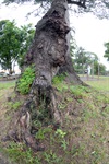 Longatto defende recuperação de áreas verdes em Santa Teresinha
