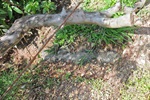 Esgoto -  Sitio Grandis