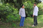 Esgoto -  Sitio Grandis